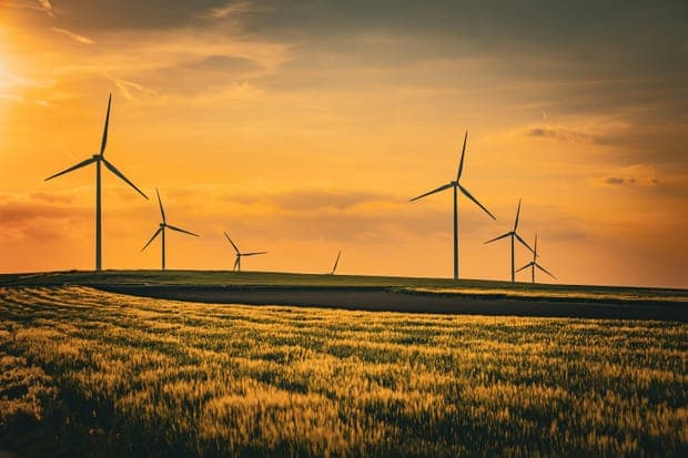 Wind turbines in a golden field at sunset