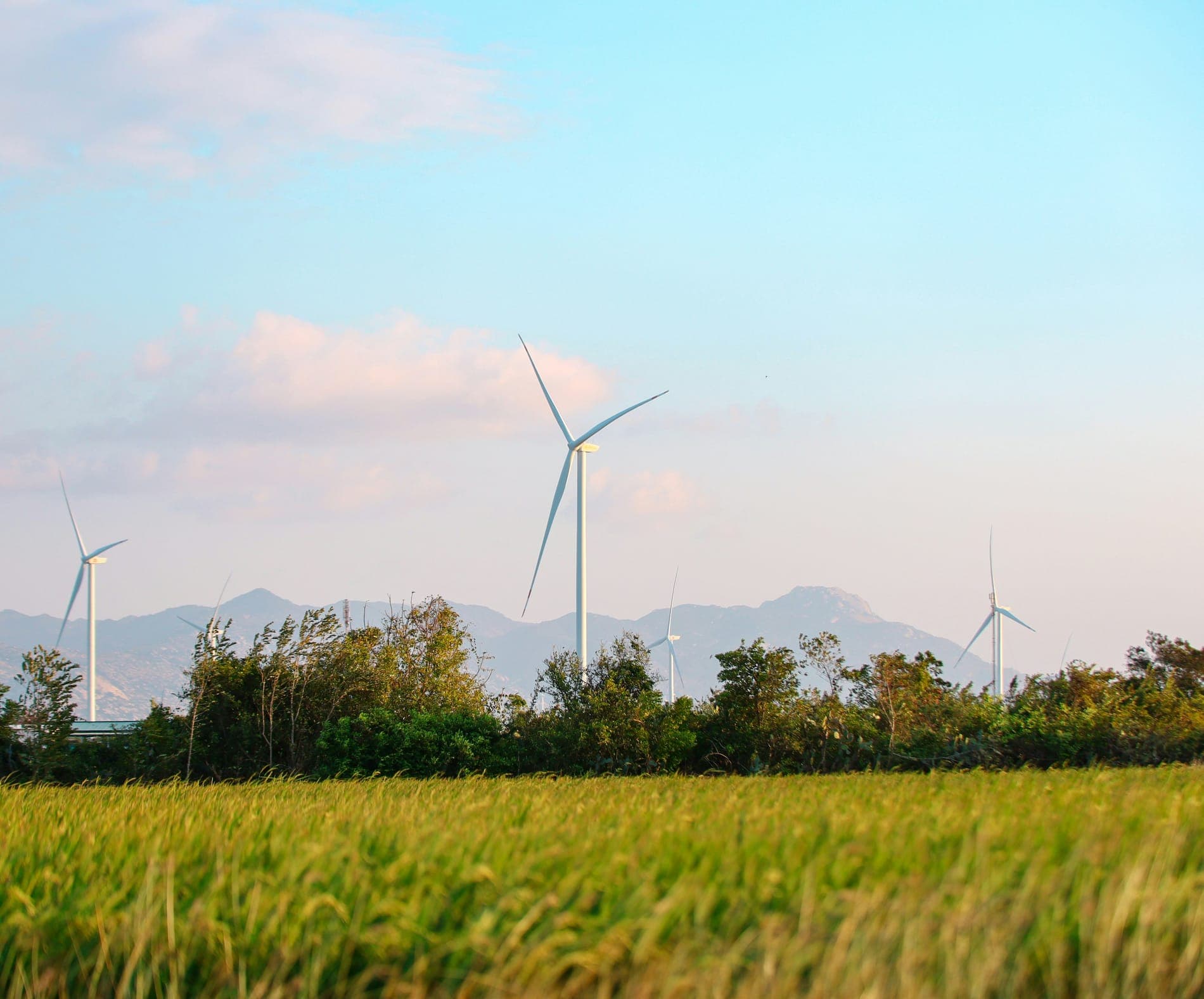 A wind turbine in a green field with mountains behind