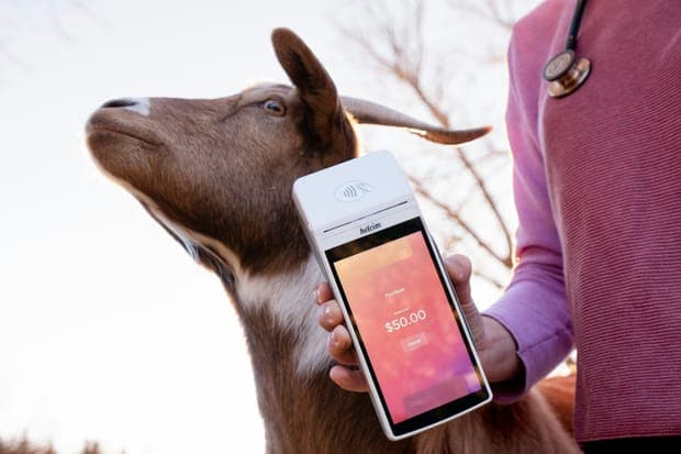 A goat beside a hand holding a card reader
