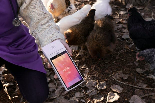 A card reader held over the ground among hens