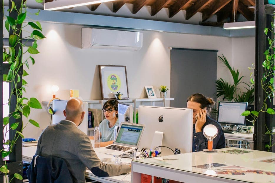 Colleagues working at desks in a bright open-plan office with plants